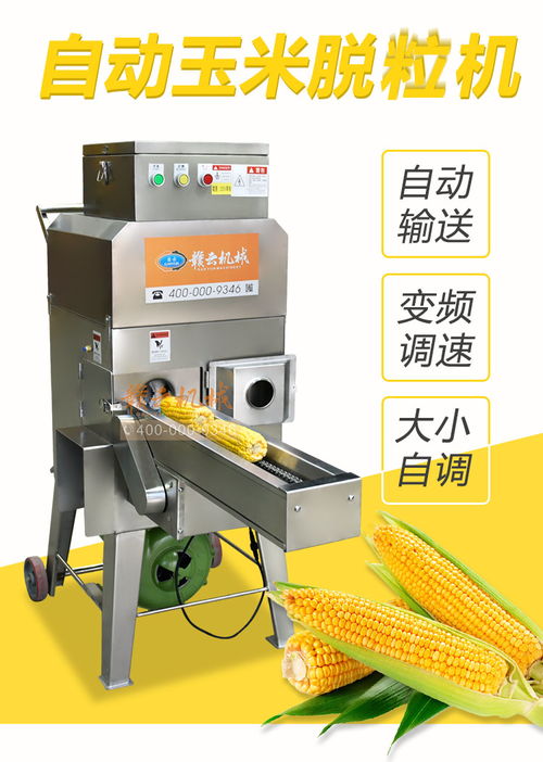 食品級(jí)不銹鋼玉米脫粒機(jī) 鮮玉米自動(dòng)剝粒的高效出入庫(kù)解決方案