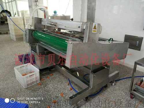 山東貝爾品牌休閑食品真空包裝機(jī)械，廠家直銷(xiāo)引領(lǐng)品質(zhì)潮流
